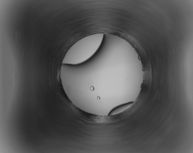 X0000100400142200806060902
