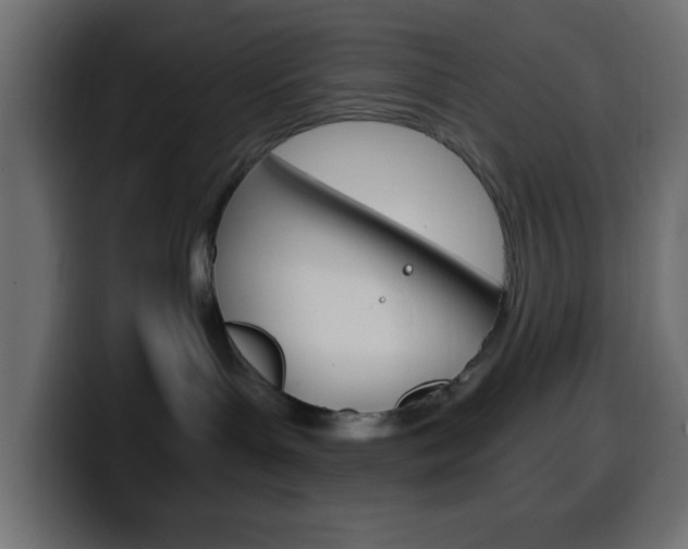 X0000100400143200806060902