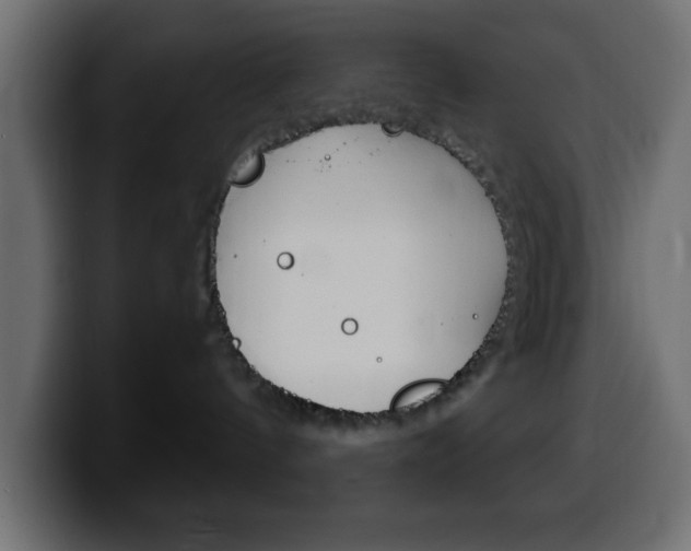 X0000100400144200806060902