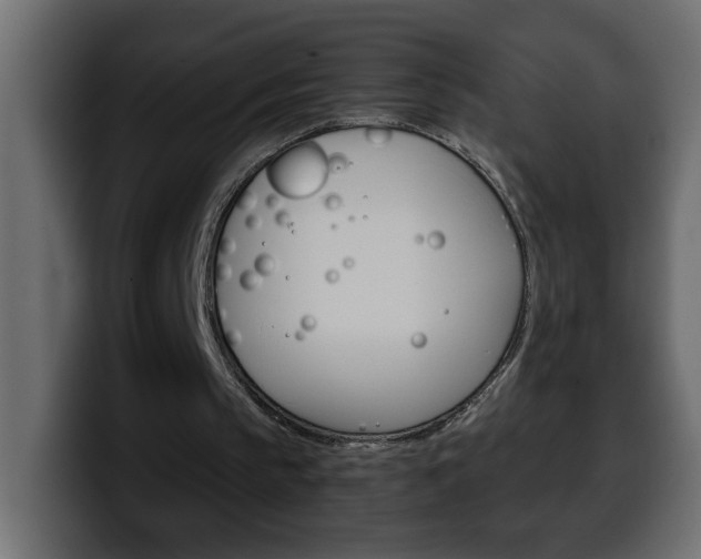 X0000100400145200806060901