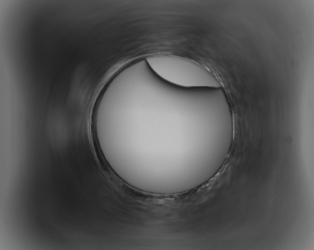 X0000100400147200806060901