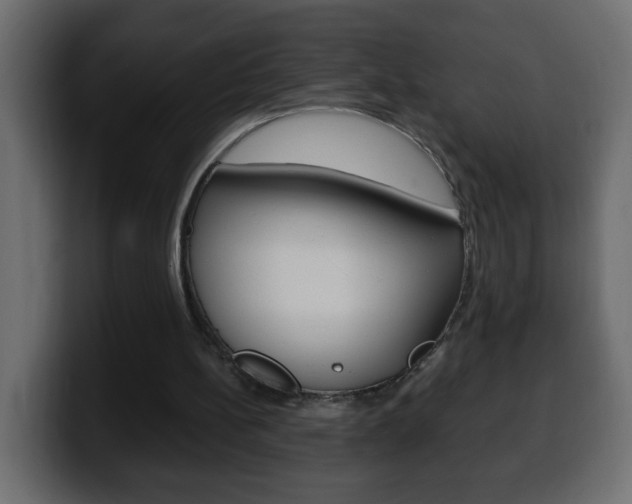 X0000100400148200806060901