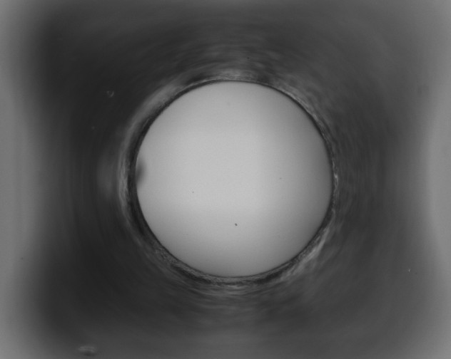 X0000100400149200806060901