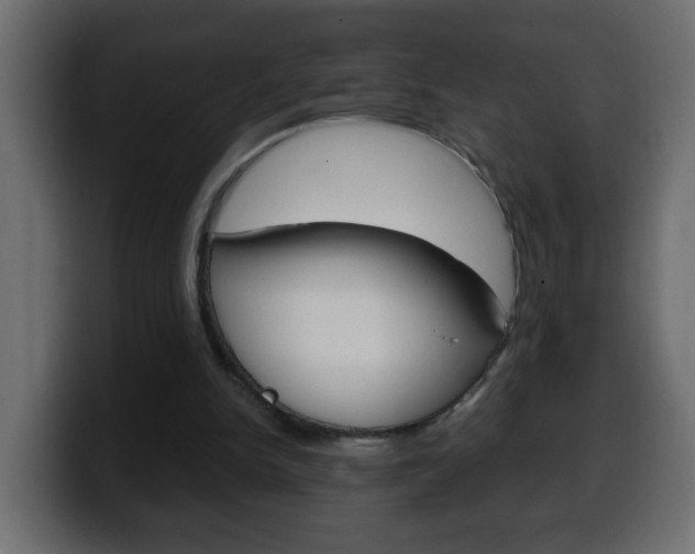 X0000100400150200806060901