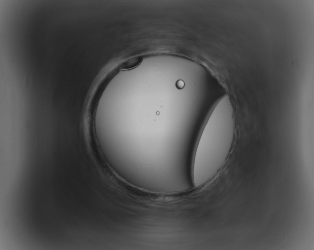 X0000100400152200806060901