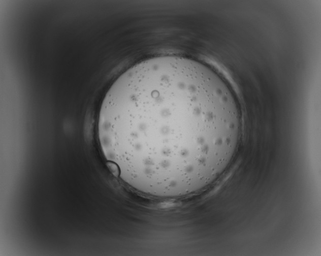 X0000100400153200806060901