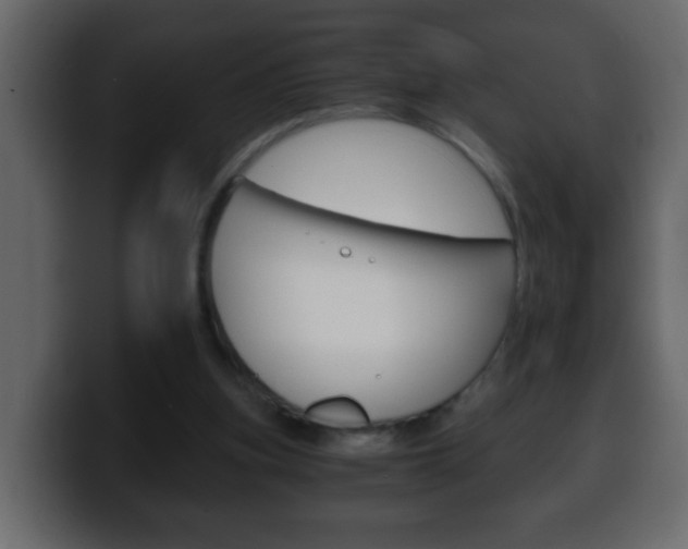 X0000100400155200806060901
