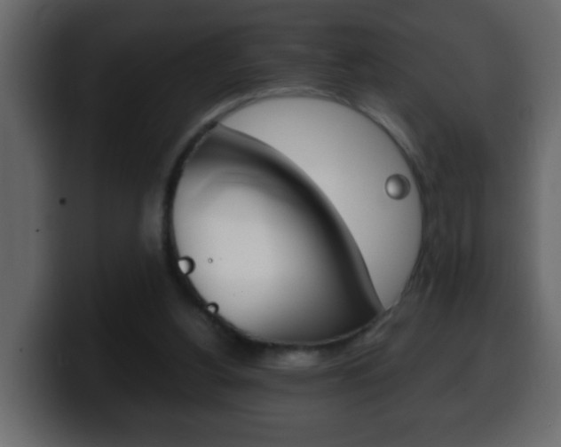 X0000100400156200806060901