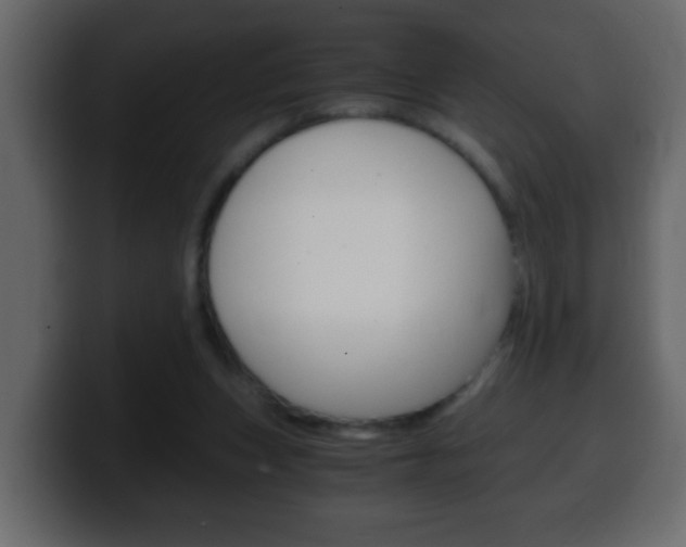 X0000100400159200806060901