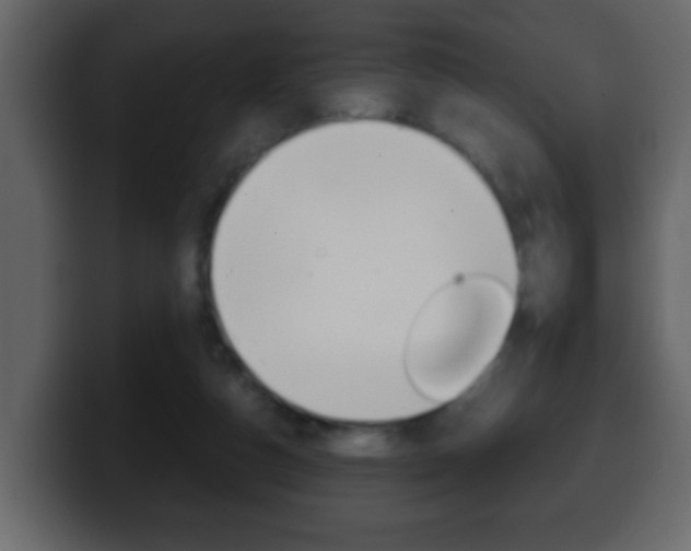 X0000100400162200806060901