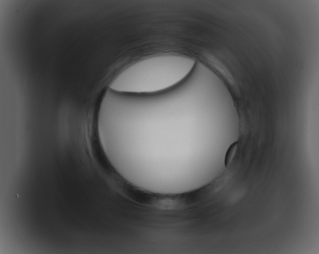 X0000100400163200806060901