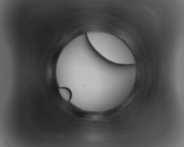 X0000100400165200806060901