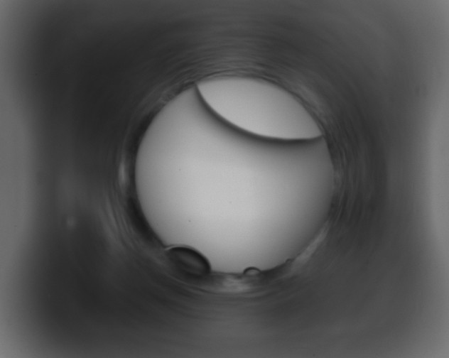 X0000100400166200806060901
