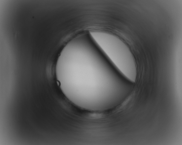 X0000100400168200806060902