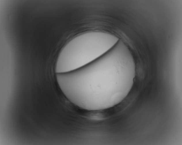X0000100400169200806060902