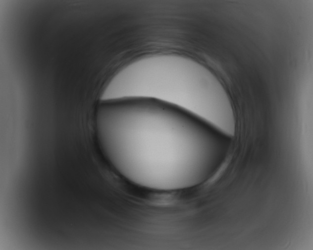 X0000100400170200806060902