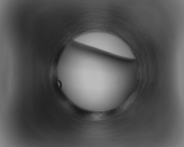 X0000100400172200806060902