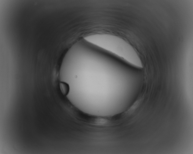 X0000100400176200806060902
