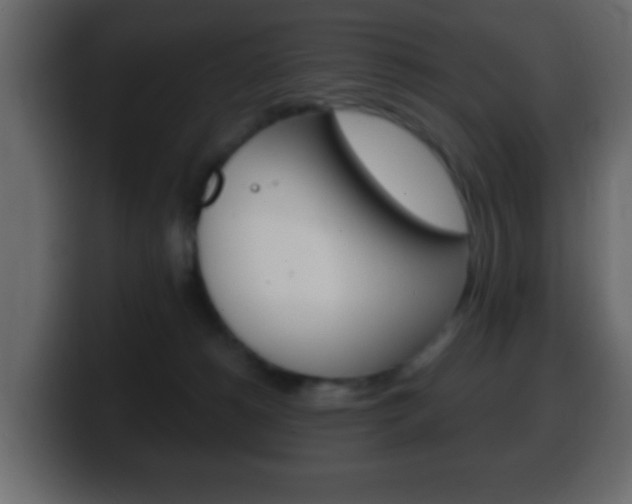X0000100400180200806060902