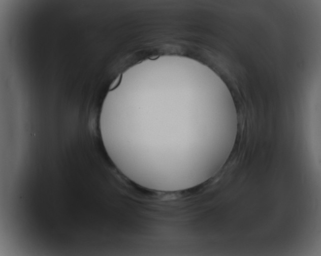 X0000100400185200806060902