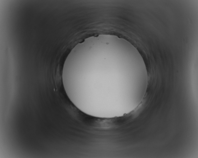 X0000100400186200806060902
