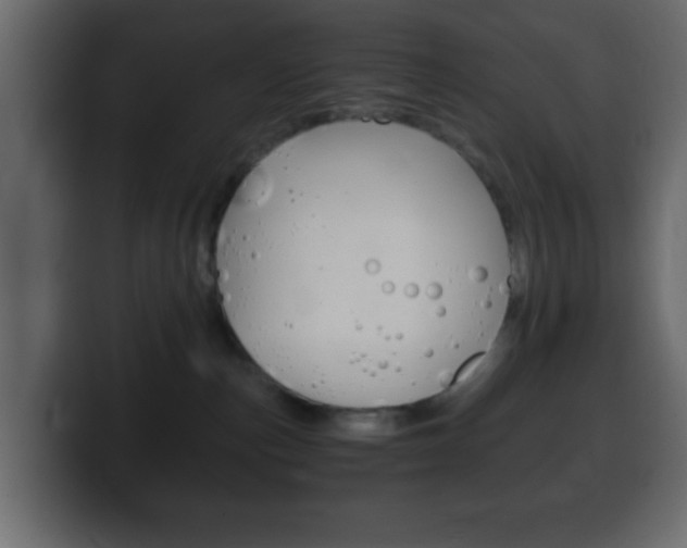 X0000100400187200806060902