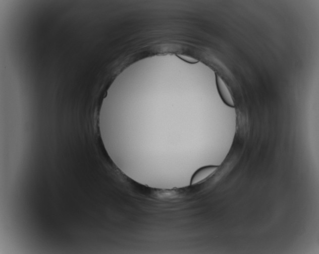 X0000100400189200806060902