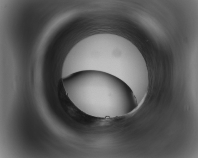 X0000100400190200806060902