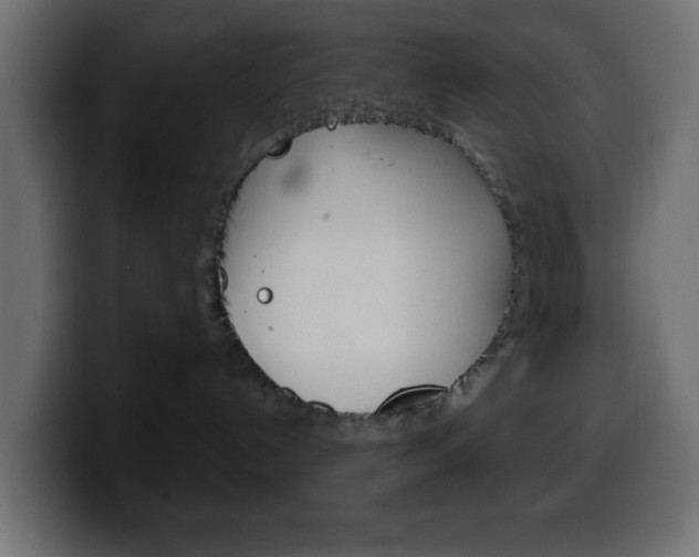 X0000100400192200806060902