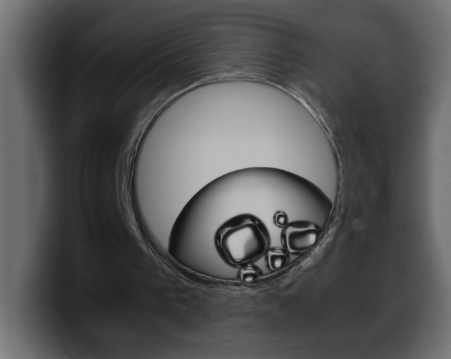 X0000100400193200806060901