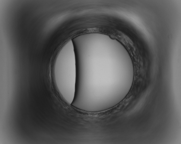 X0000100400194200806060901