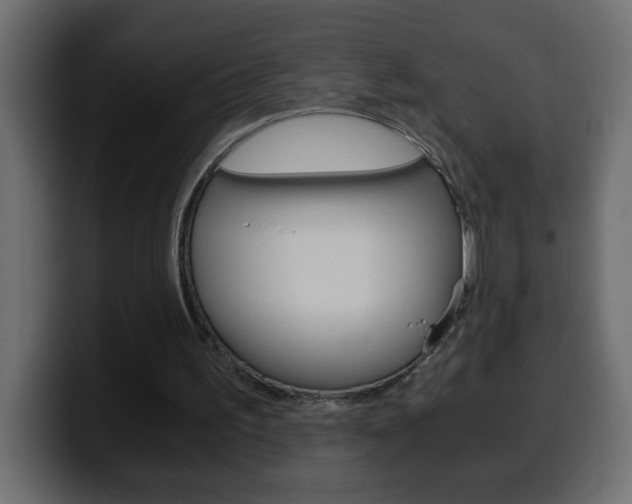 X0000100400195200806060901
