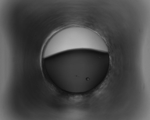 X0000100400196200806060901
