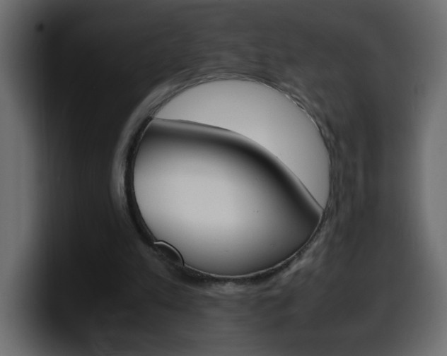 X0000100400197200806060901