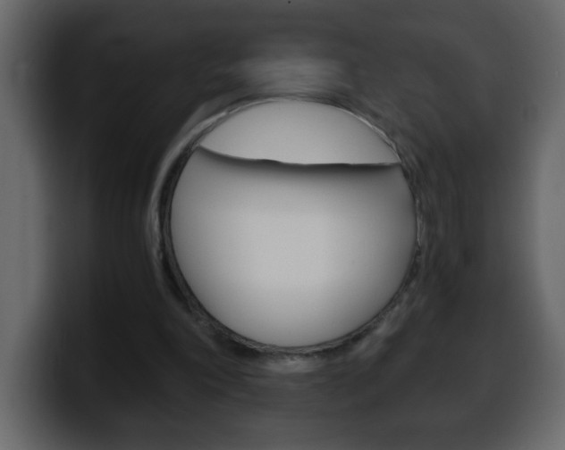 X0000100400198200806060901