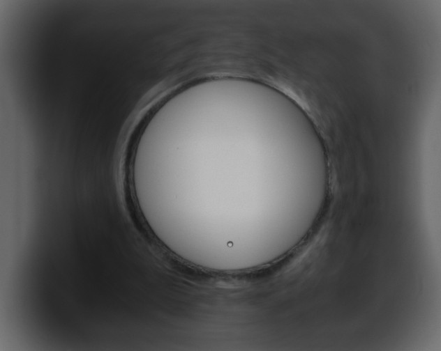 X0000100400199200806060901