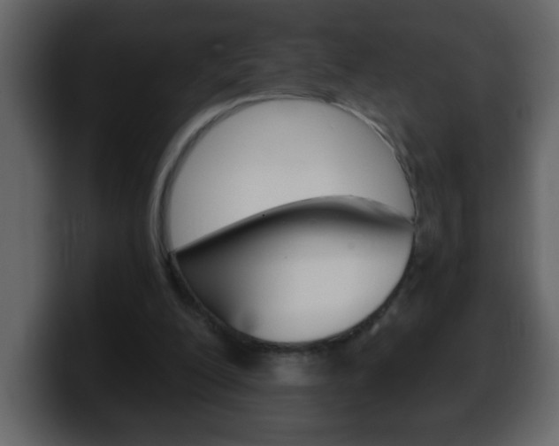 X0000100400200200806060901