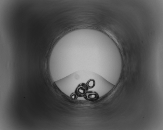 X0000100400201200806060901