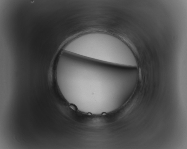 X0000100400204200806060901