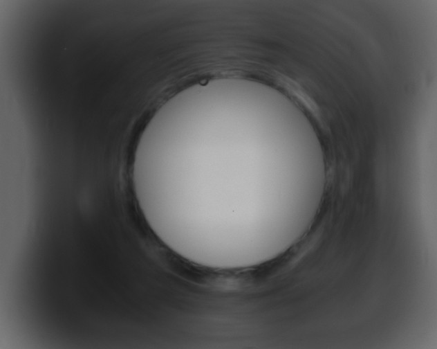 X0000100400209200806060901
