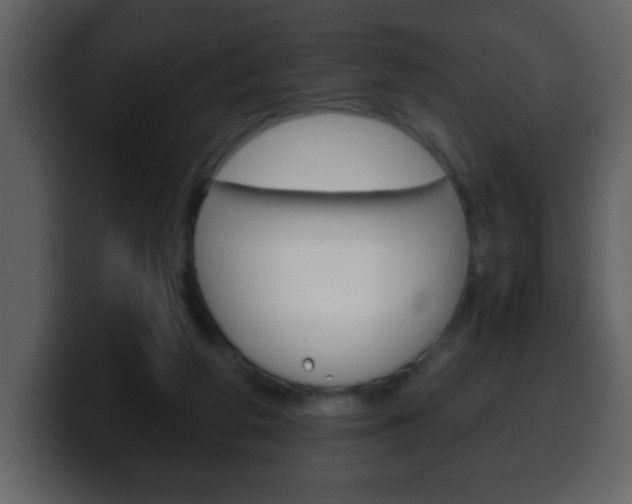 X0000100400210200806060901