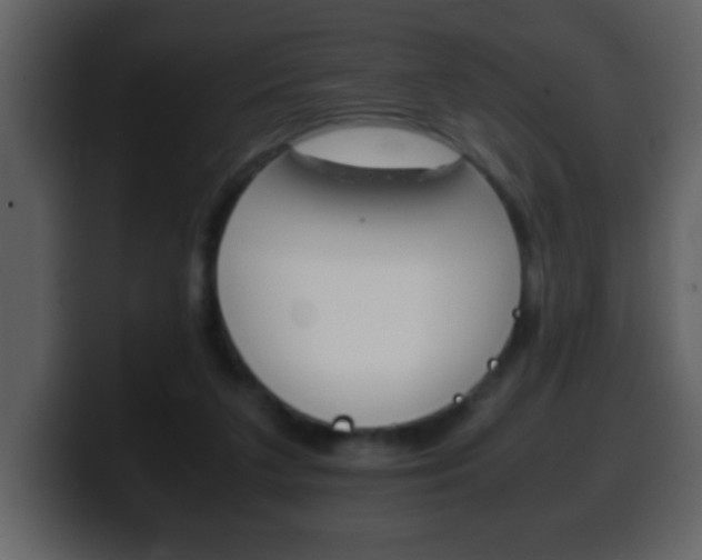 X0000100400211200806060901