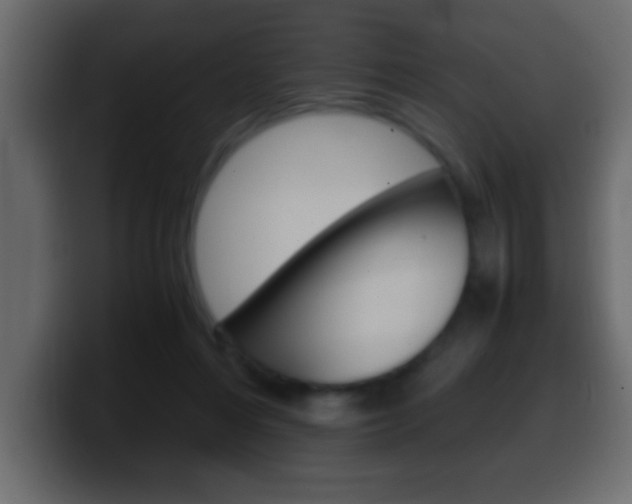 X0000100400216200806060901