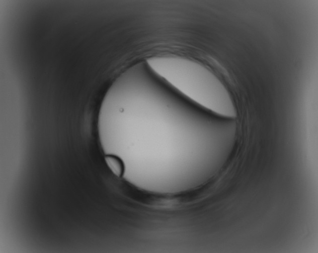X0000100400217200806060901