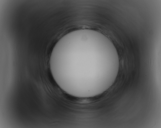X0000100400218200806060901