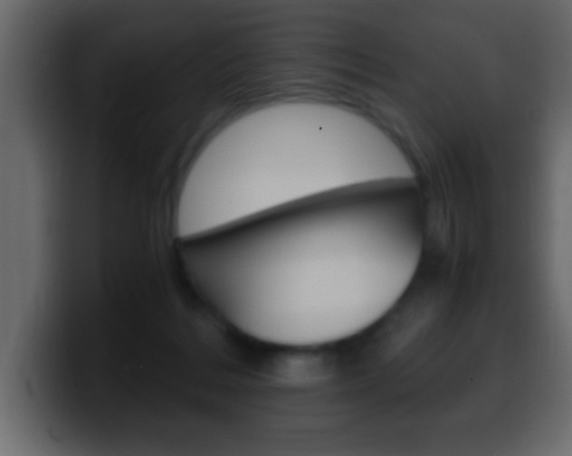X0000100400220200806060901
