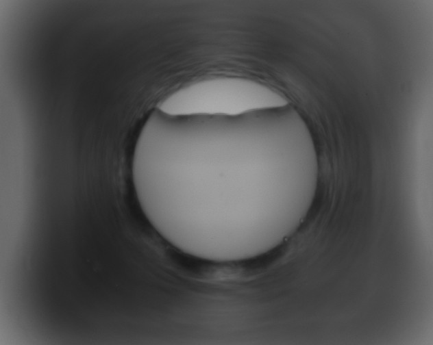 X0000100400223200806060901