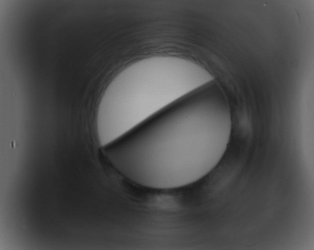 X0000100400224200806060901