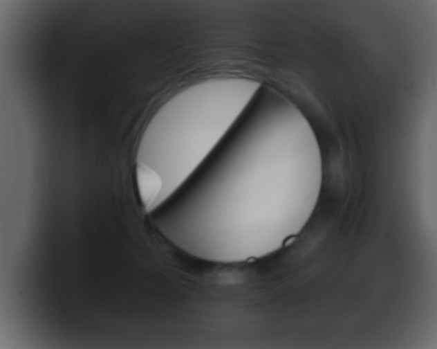 X0000100400228200806060901