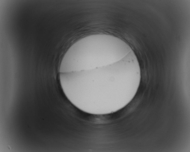 X0000100400229200806060901